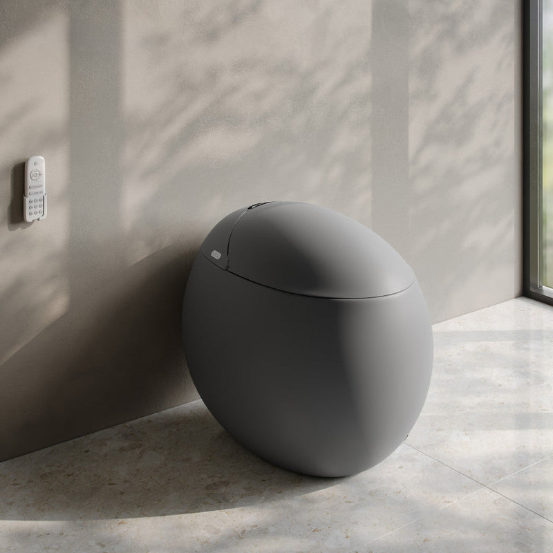 Swiss Madison Plaisir One Piece Smart Toilet Matte Gray SM-ST0701MG