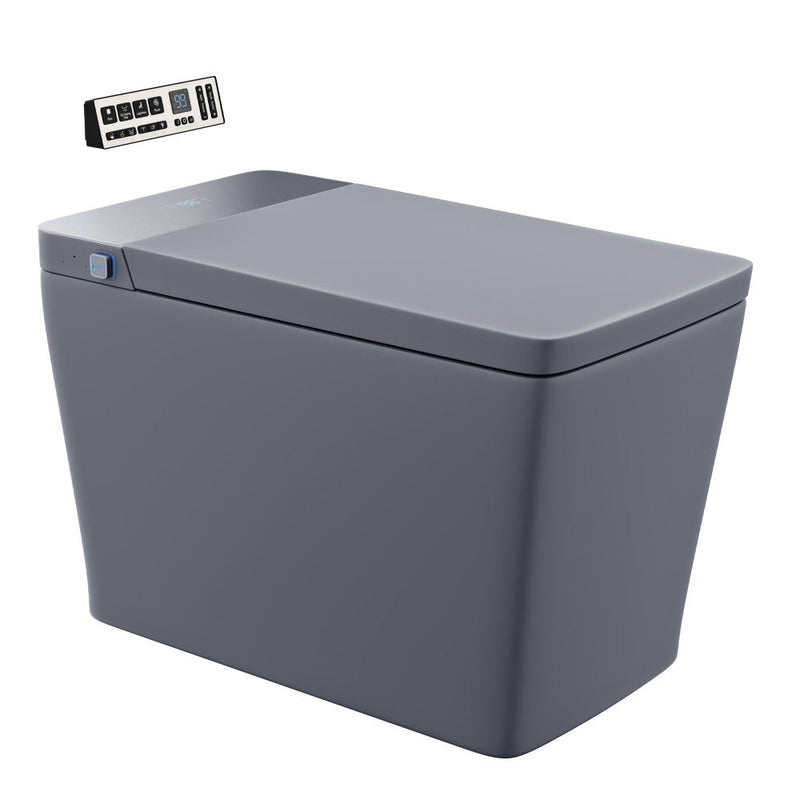 Swiss Madison Concorde One Piece Smart Toilet Matte Gray SM-ST0201MG