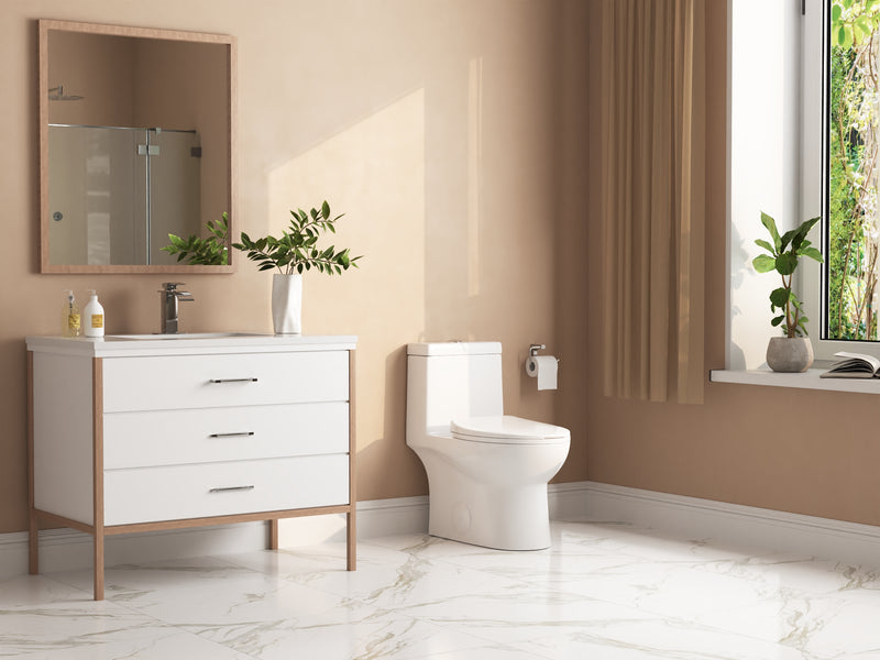 DeerValley ALLY One-Piece Elongated Toilet, 1.1/1.6GPF Dual-Flush with Multiple Colors DV-1F52816