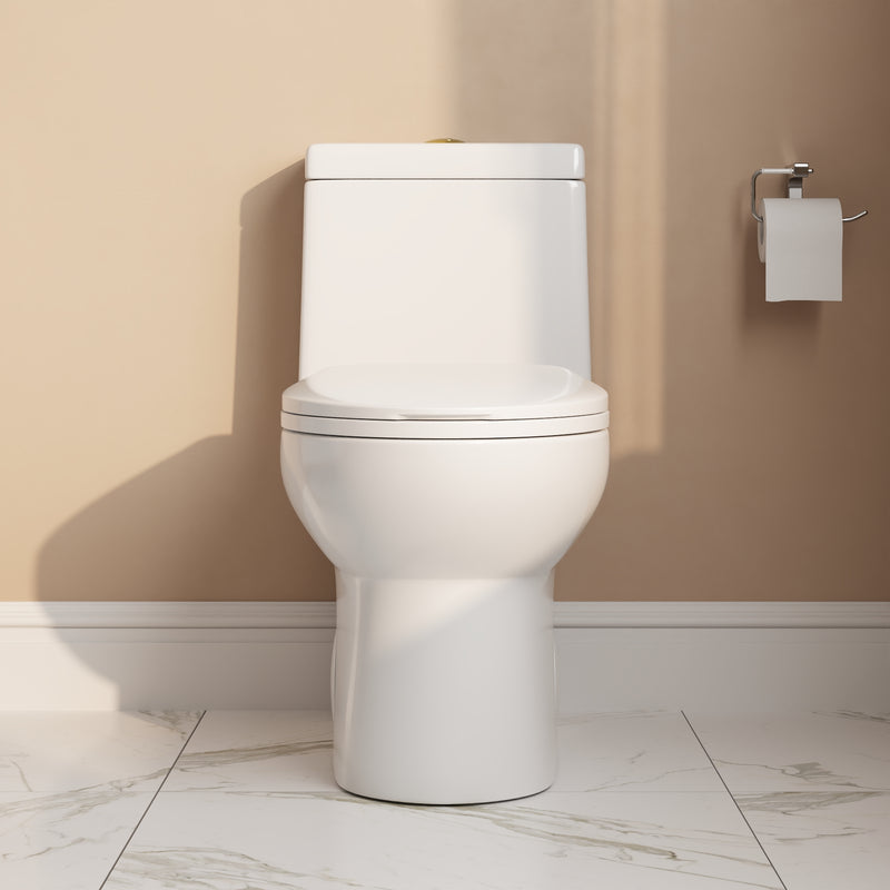 DeerValley ALLY One-Piece Elongated Toilet, 1.1/1.6GPF Dual-Flush with Multiple Colors DV-1F52816