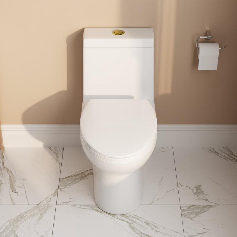DeerValley ALLY One-Piece Elongated Toilet, 1.1/1.6GPF Dual-Flush with Multiple Colors DV-1F52816