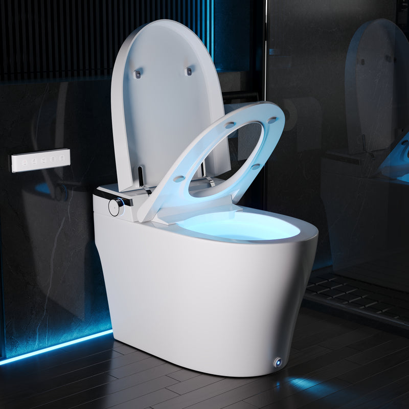 DeerValley Smart Bidet Toilet, Adjustable Heated Seat, Dual Nozzle Wash, Auto Flush, One-Piece DV-1S0029-V3