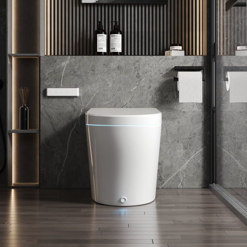 DeerValley Smart Bidet Toilet, Adjustable Heated Seat, Dual Nozzle Wash, Auto Flush, One-Piece DV-1S0029-V3