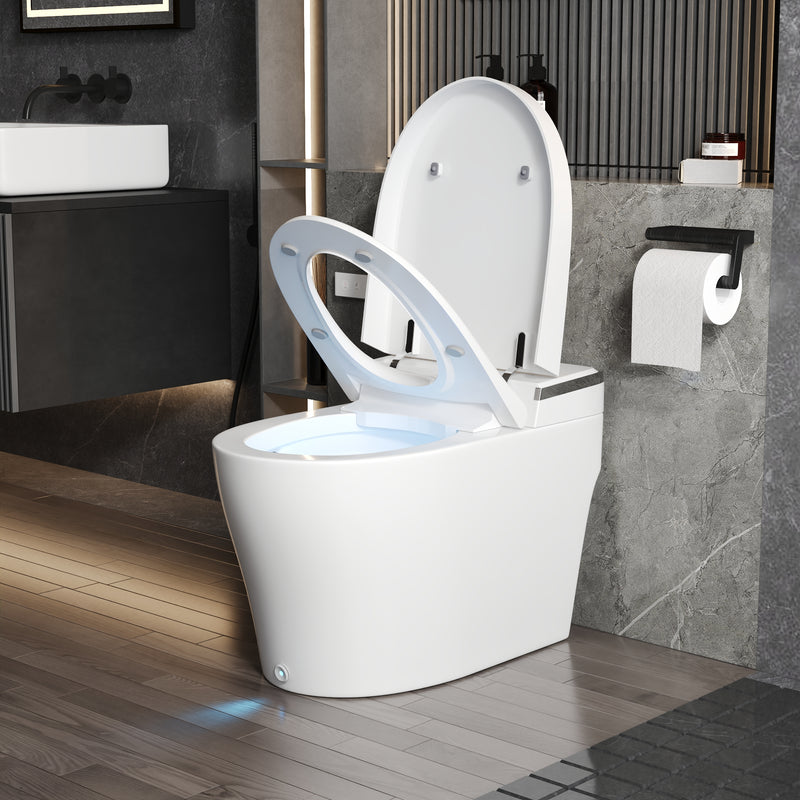 DeerValley Smart Bidet Toilet, Adjustable Heated Seat, Dual Nozzle Wash, Auto Flush, One-Piece DV-1S0029-V3