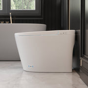 DeerValley DV-1S0159 soft night light smart toilet