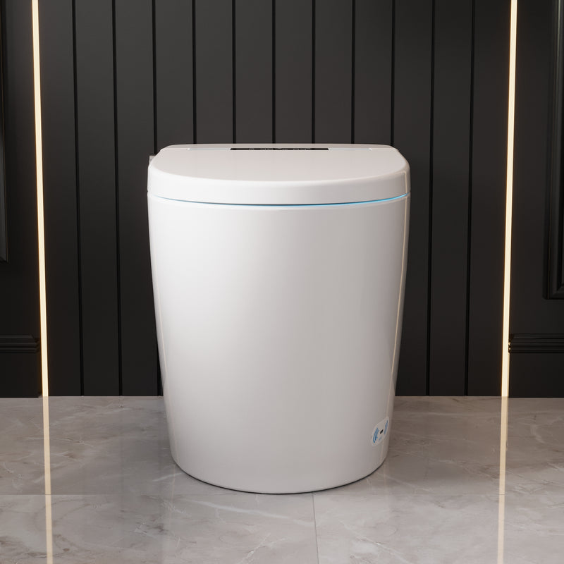 DeerValley Smart Bidet Toilet,Auto Flush, Heated Seat,Night-light, One-Piece DV-1S0159-V3