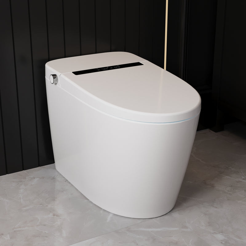 DeerValley Smart Bidet Toilet,Auto Flush, Heated Seat,Night-light, One-Piece DV-1S0159-V3