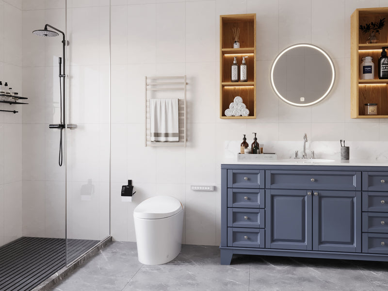 DeerValley Dual Flush Elongated One-Piece Toilet DV-1S0160