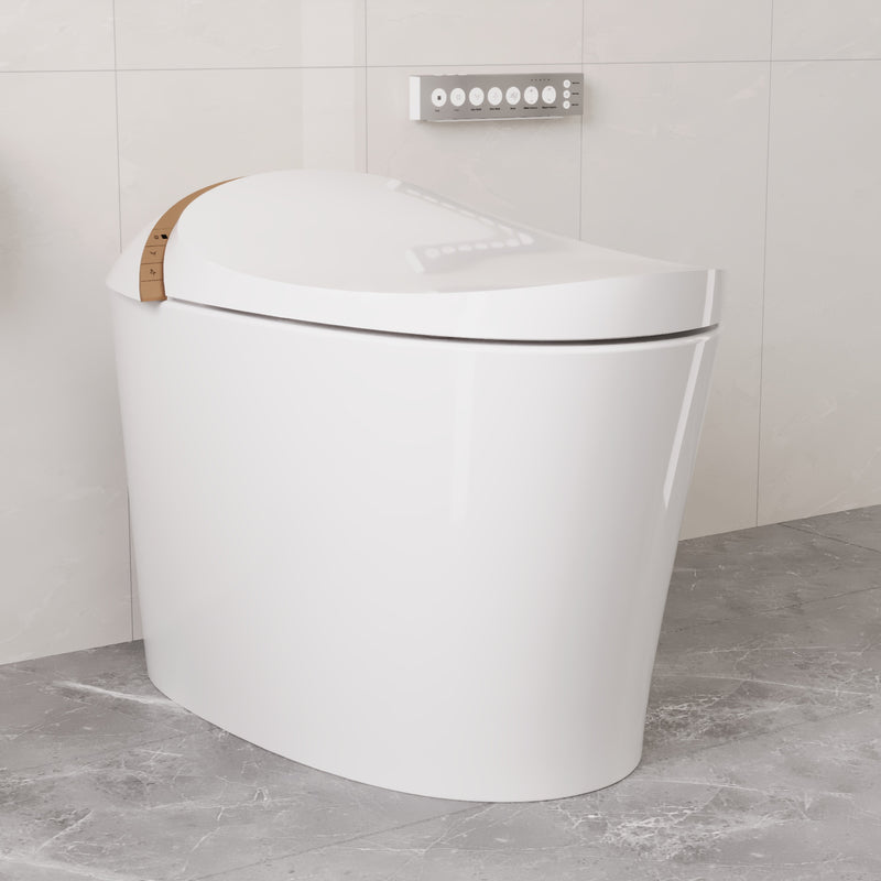 DeerValley Dual Flush Elongated One-Piece Toilet DV-1S0160