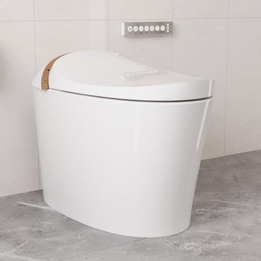 DeerValley DV-1S0160 heated bidet seat with warm water wash