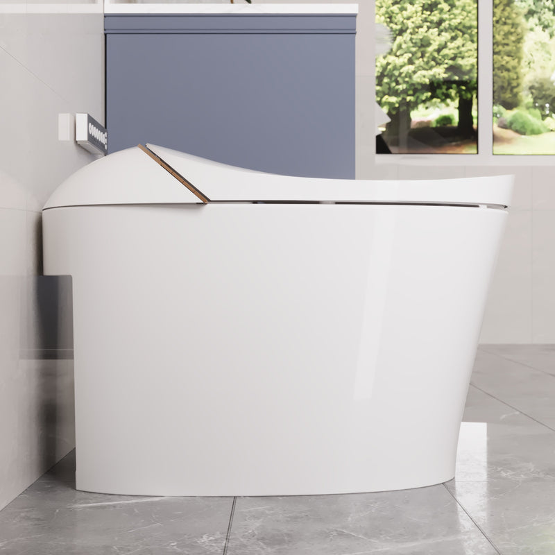 DeerValley Dual Flush Elongated One-Piece Toilet DV-1S0160