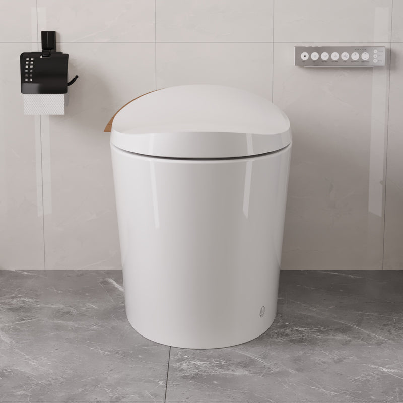 DeerValley Dual Flush Elongated One-Piece Toilet DV-1S0160