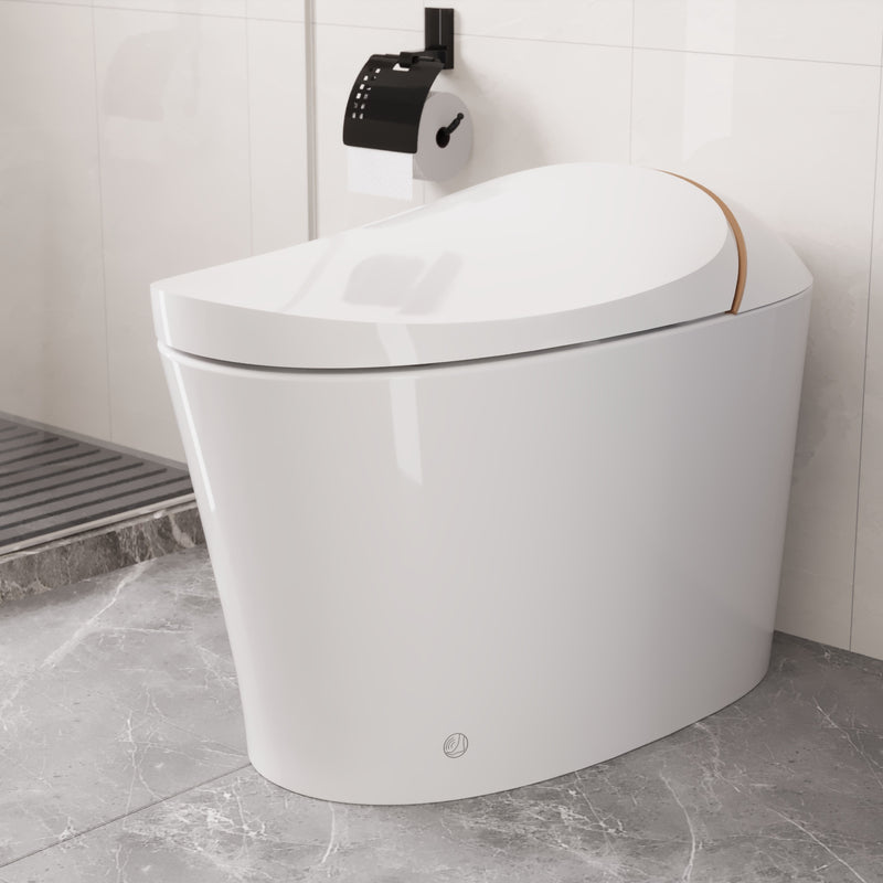 DeerValley Dual Flush Elongated One-Piece Toilet DV-1S0160