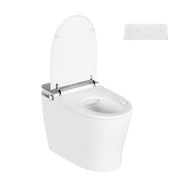 DeerValley DV-1S0371-V3 child wash mode smart bidet toilet