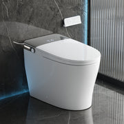 DeerValley DV-1S0371-V3 warm water wash and massage cleaning modes
