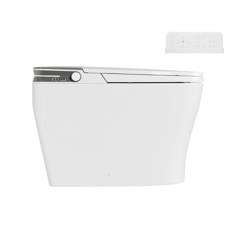 DeerValley DV-1S0371-V3 1000 MAP powerful siphon flush system