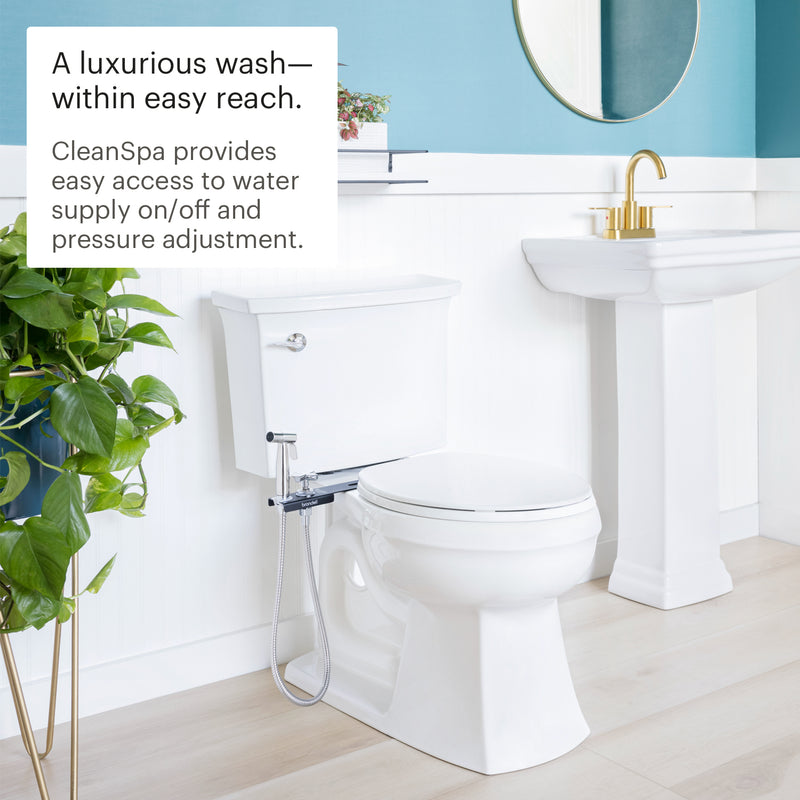 Brondell CleanSpa Luxury Hand-Held Bidet Sprayer and Holster with Integrated Shut Off, MBH-40 (Black, White, Stainless Steel)