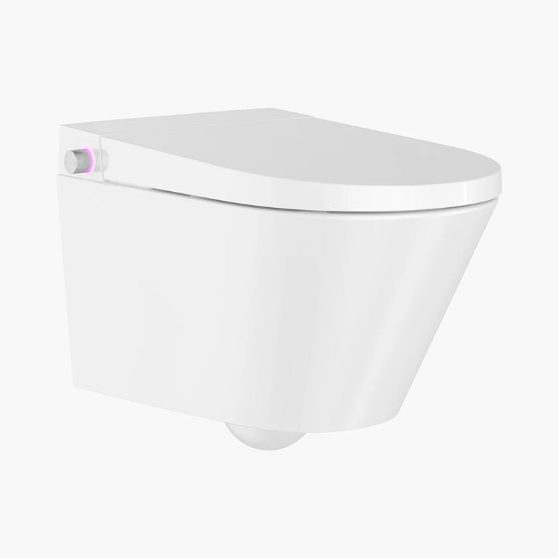 HOROW G10 Wall Mounted Luxury Bidet Smart Toilet With Dual Flush Tank