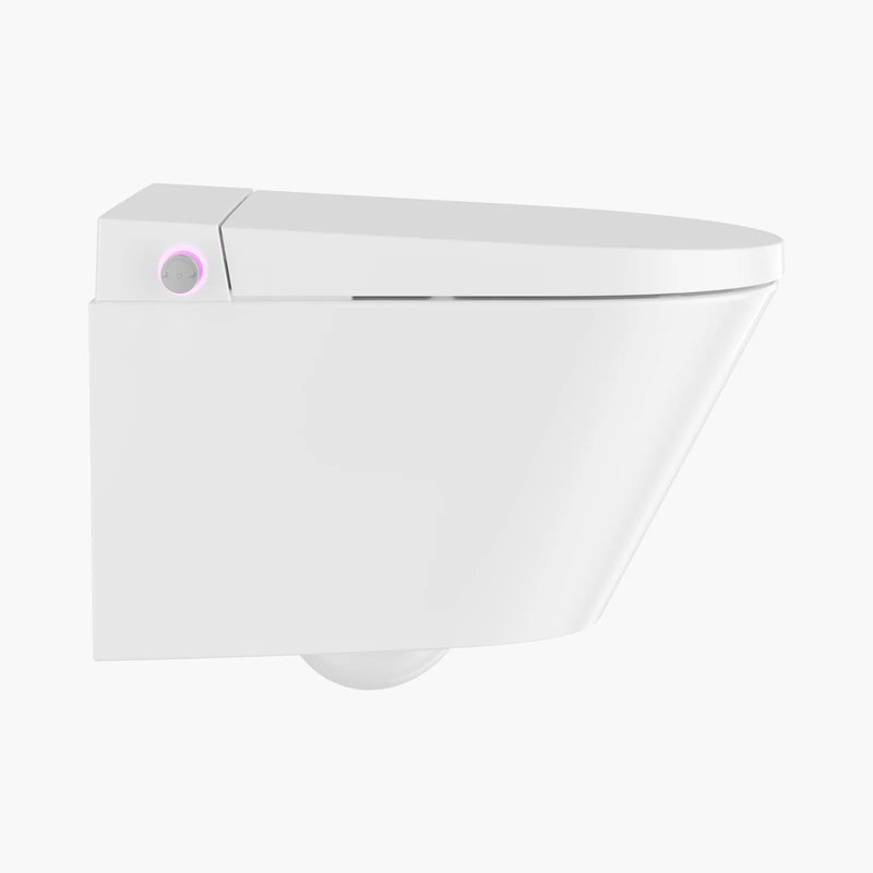 HOROW G10 Wall Mounted Luxury Bidet Smart Toilet With Dual Flush Tank
