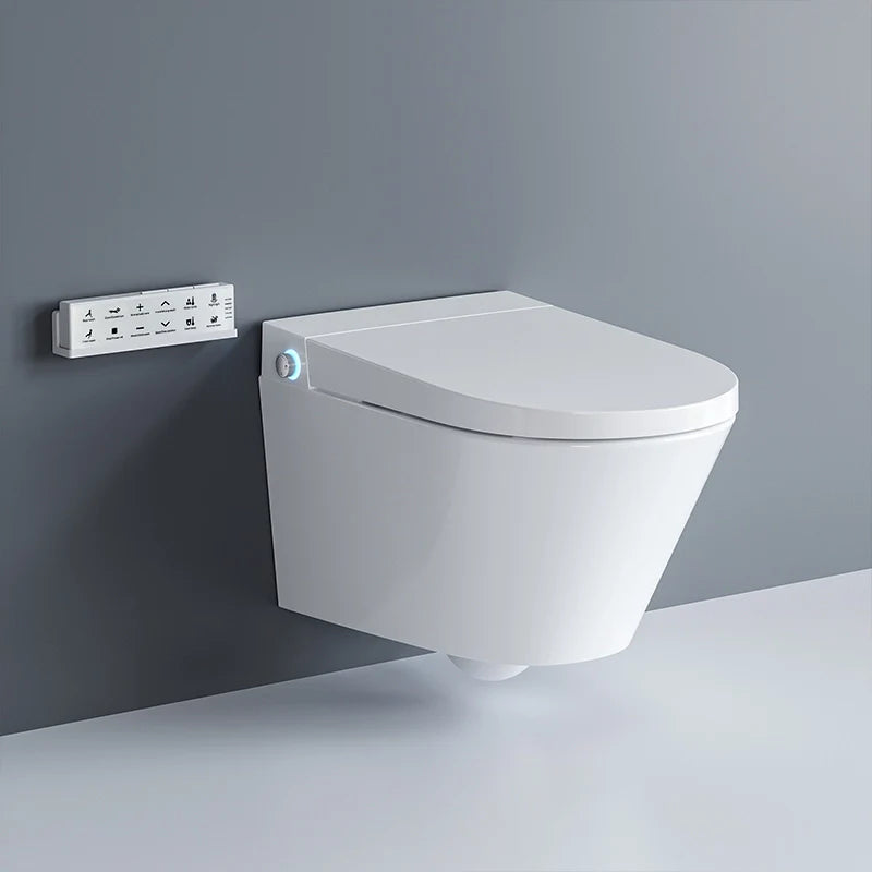 Wall Hung Bidet Toilets
