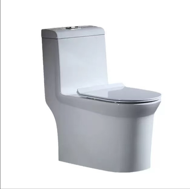 Apartment-Friendly Household Toilet