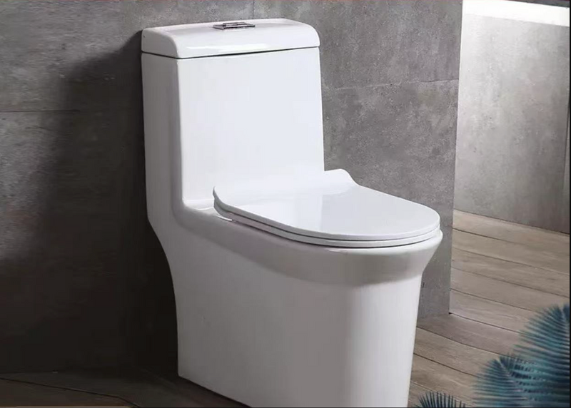 Apartment-Friendly Household Toilet