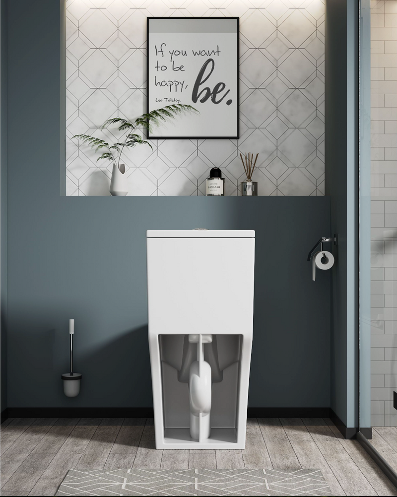 DB One-Piece Comfort Height Toilet
