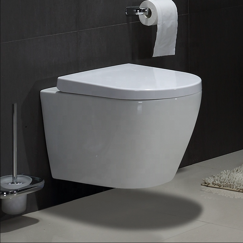 Wall Hung Toilet Pan with Concealed Tank