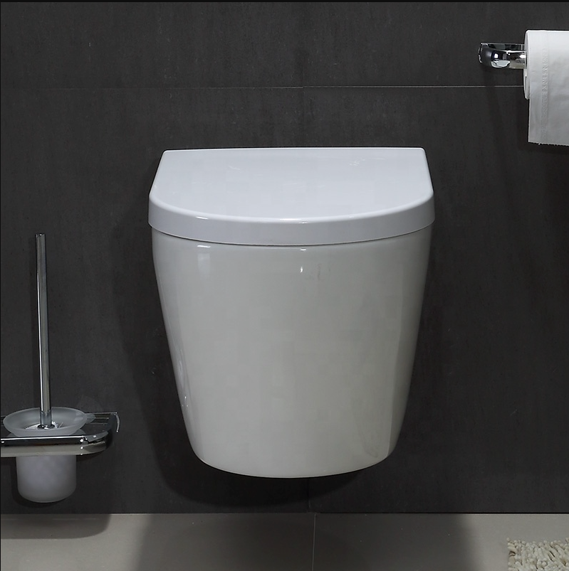 Wall Hung Toilet Pan with Concealed Tank