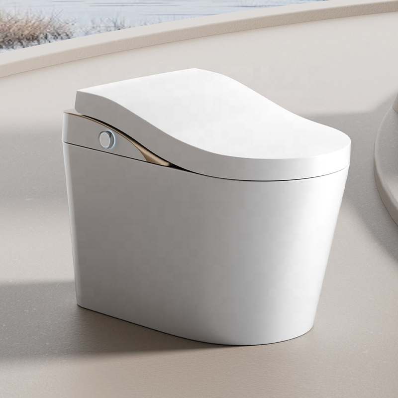 Ergonomic Smart Bidet Toilet