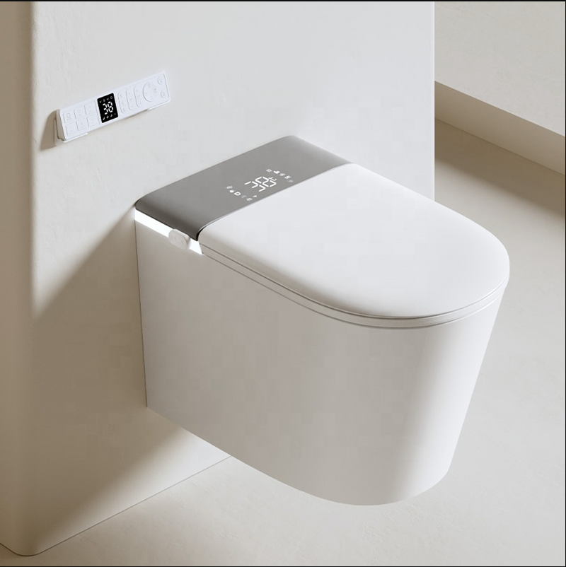 Wall-Mounted Rimless Bidet Toilet