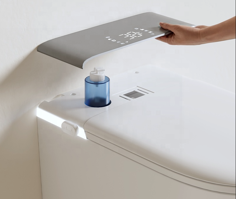 Wall-Mounted Rimless Bidet Toilet