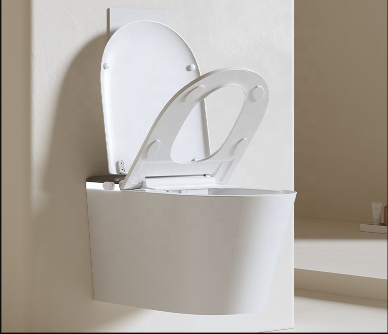 Wall-Mounted Rimless Bidet Toilet