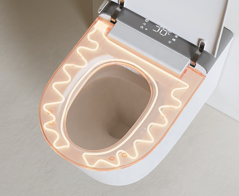 Wall-Mounted Rimless Bidet Toilet