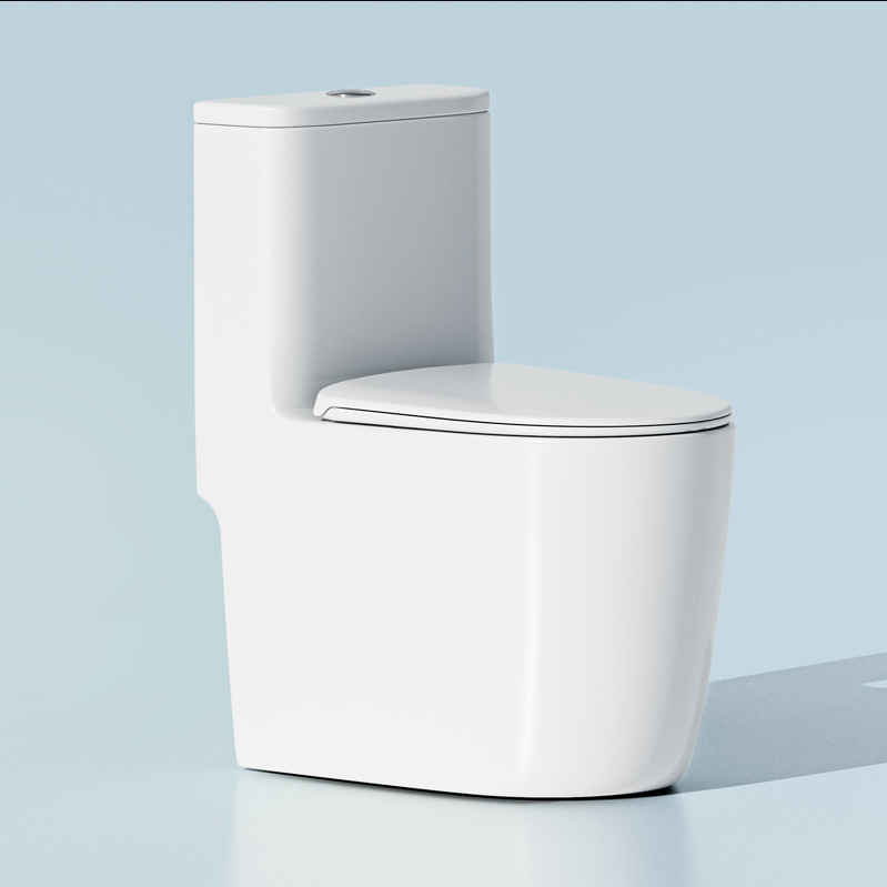 CleerWave One-Piece Toilet