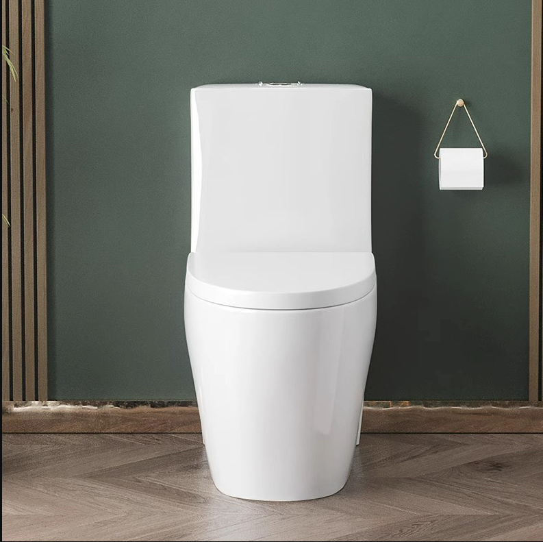Modern One-Piece Ceramic Toilet