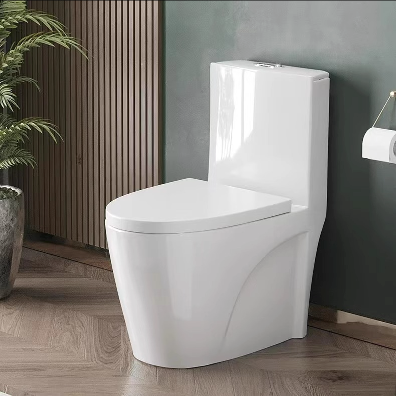 Modern One-Piece Ceramic Toilet