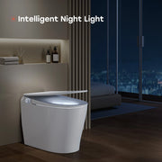 HOROW T32 smart toilet dimensions