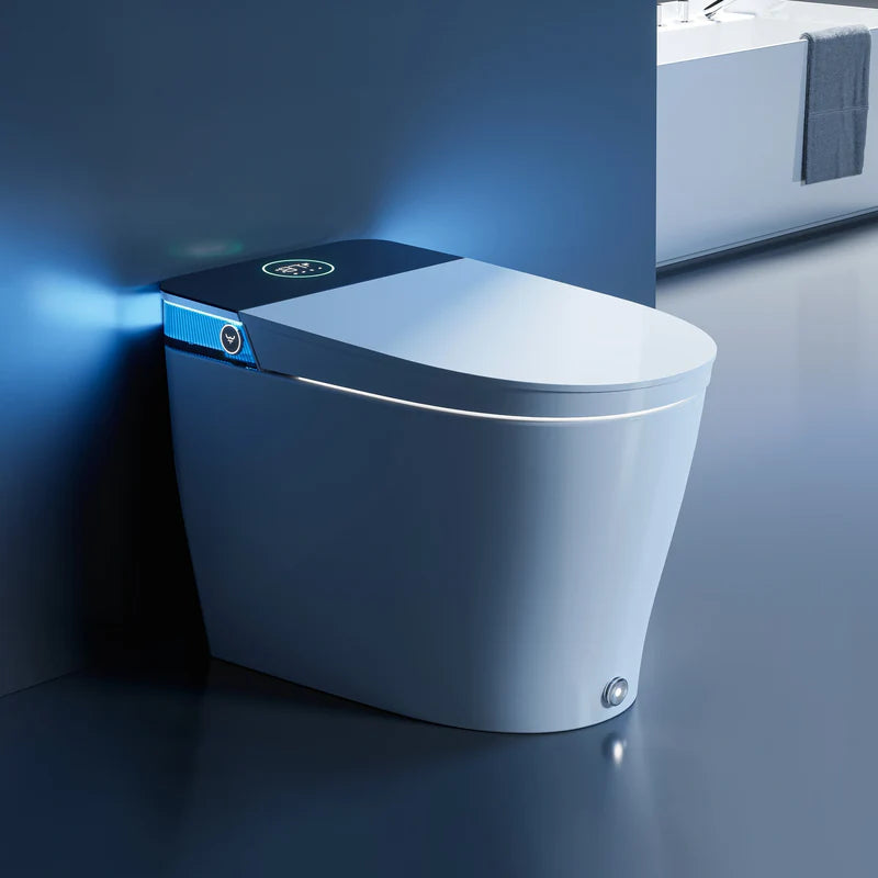 HOROW Bidet Combo Toilet With Mood Light For 12 Inch Rough In Model T38