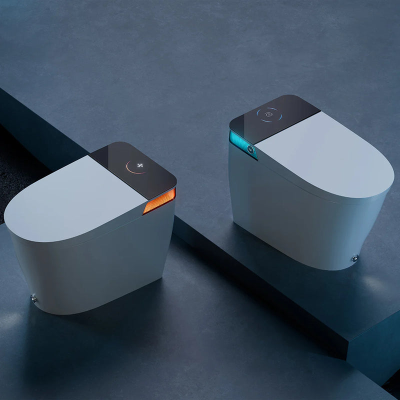 HOROW Bidet Combo Toilet With Mood Light For 12 Inch Rough In Model T38