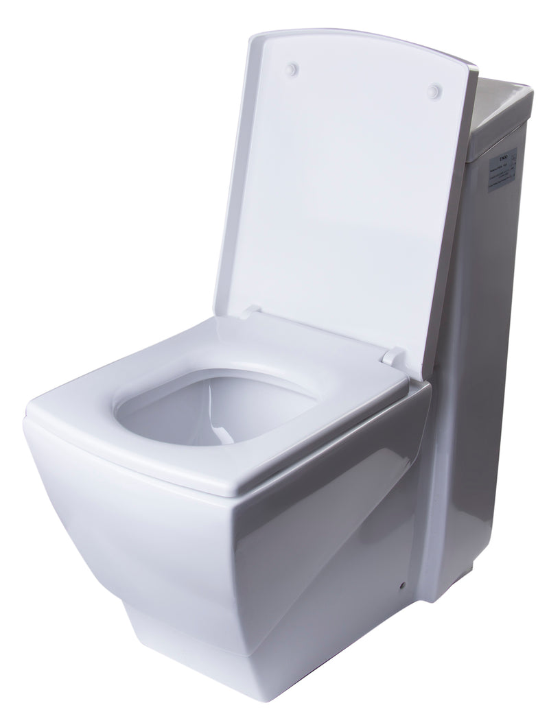 EAGO TB336 One Piece High Efficiency Low Flush Ceramic Toilet TB336