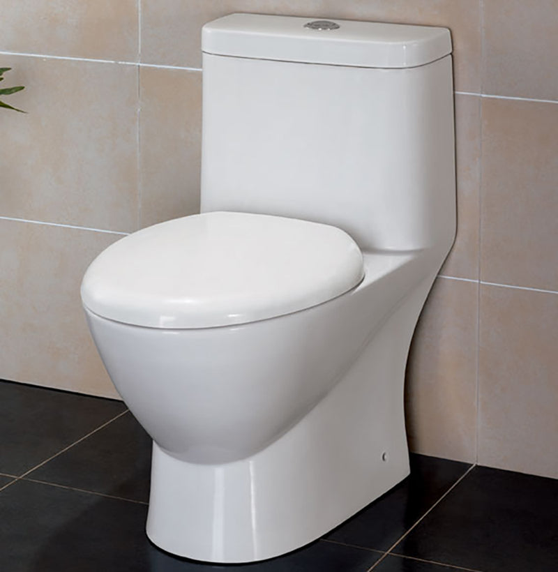 EAGO TB346 Modern Dual Flush One Piece High Efficiency Toilet TB346