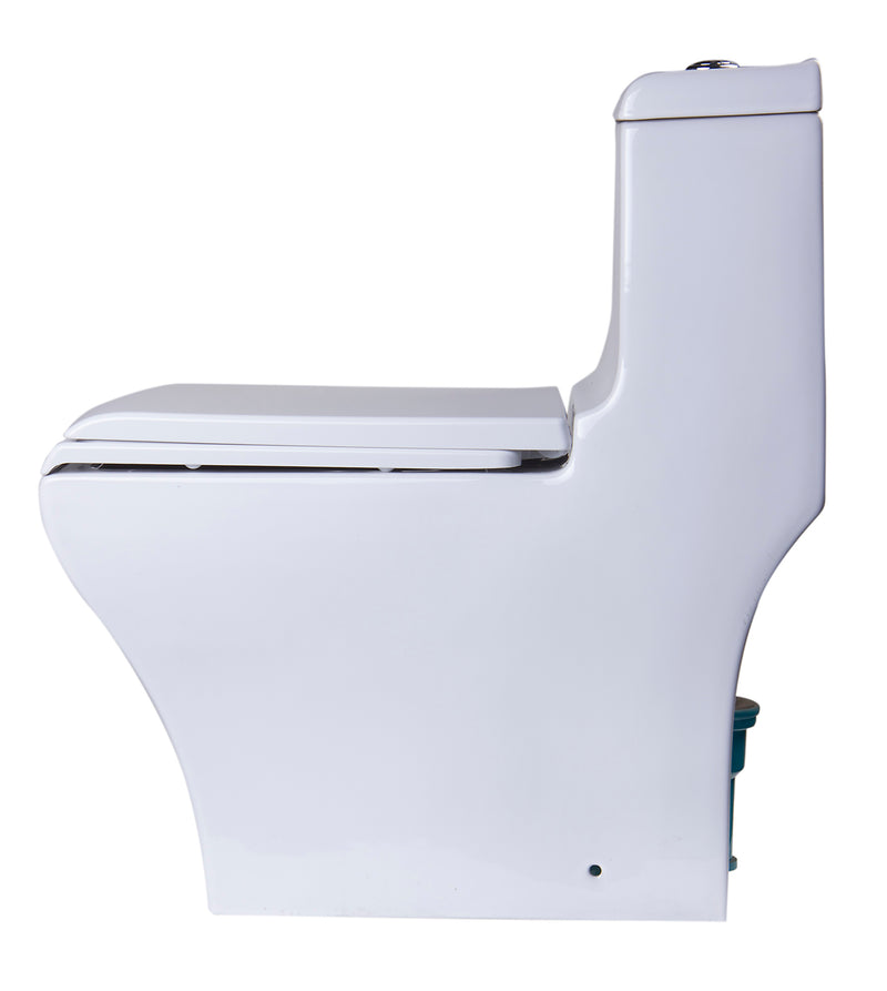 EAGO TB356 Dual Flush One Piece High Efficiency Toilet TB356