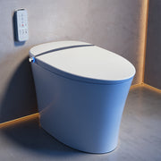 Swiss Madison Viro V15 Smart Tankless Toilet SM-ST060