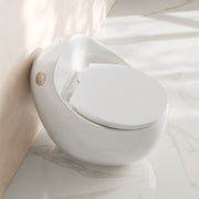 Swiss Madison Plaisir II One Piece Toilet SM-1T289