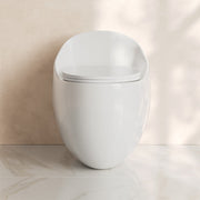 Swiss Madison Plaisir II One Piece Toilet SM-1T289