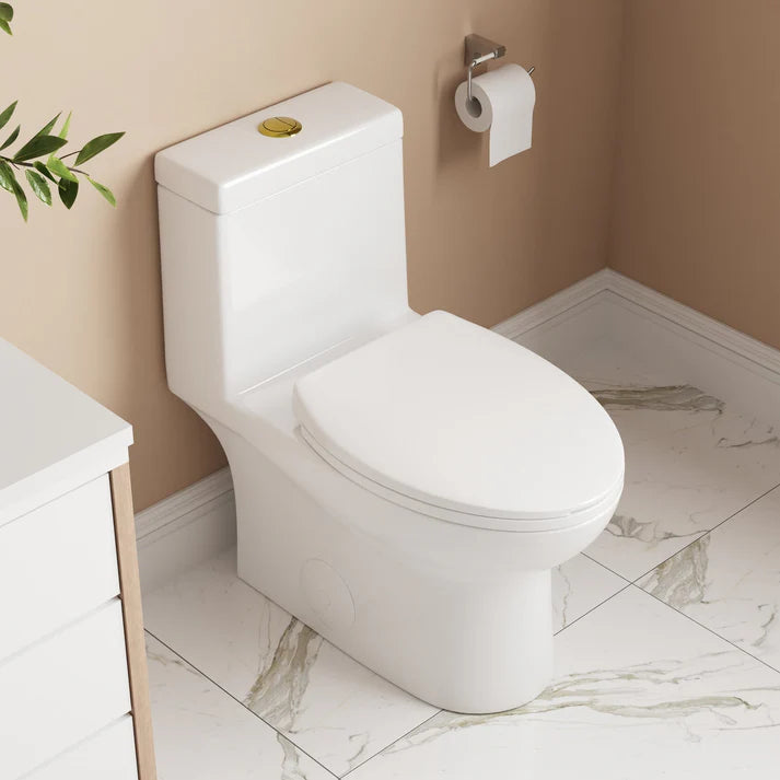 DeerValley ALLY One-Piece Elongated Toilet, 1.1/1.6GPF Dual-Flush with Multiple Colors DV-1F52816