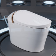 DeerValley DV-1S0160 white smart bidet toilet product photo