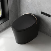DeerValley DV-1S0160 tankless smart bidet toilet in modern bathroom