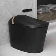 DeerValley DV-1S0160 Premium matte black smart bidet toilet